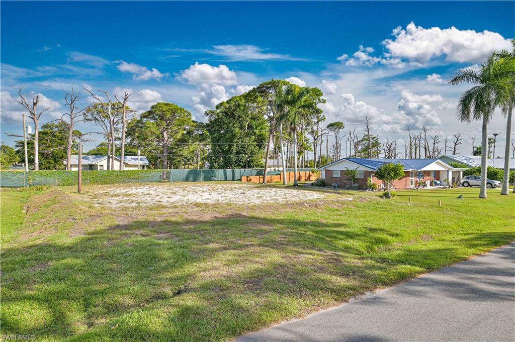 Image 3: View of yard