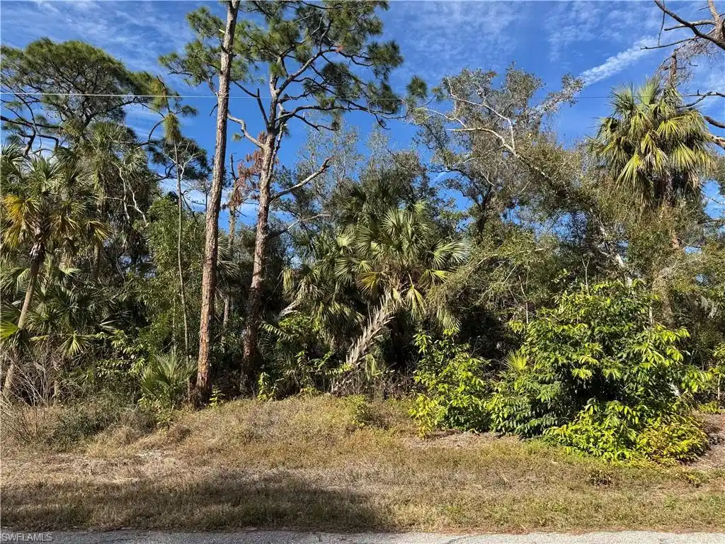 Image 1: Streetview