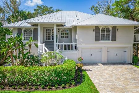 381 Leatherfern