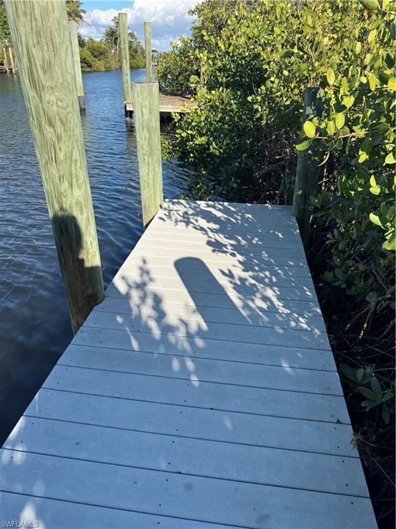 Image 3: View of dock and post