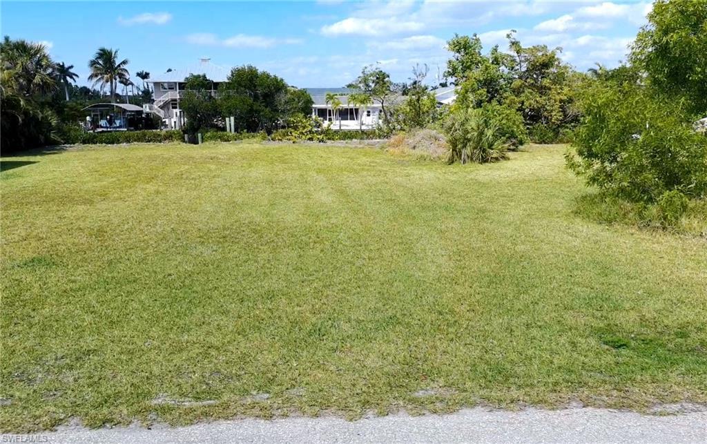 Image 4: Front view of yard