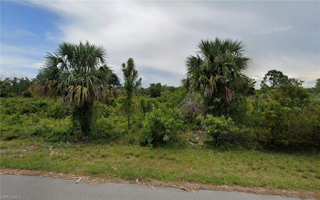 Image 3: View of local wilderness