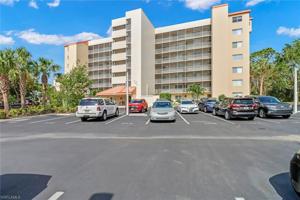 15191 Cedarwood