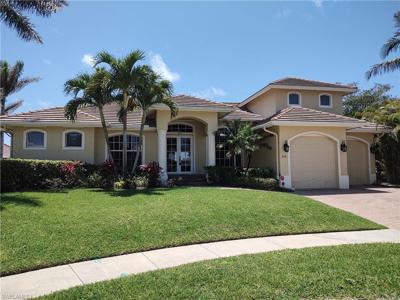 316 Waterleaf