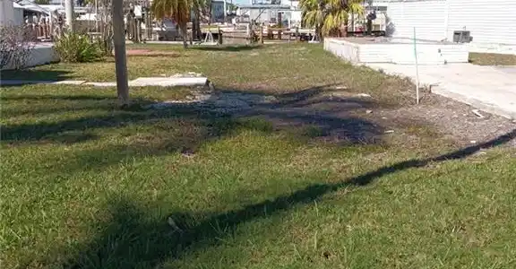 Image 2: View of yard