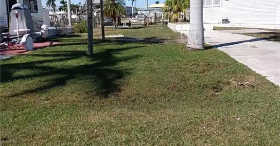 Image 3: View of yard