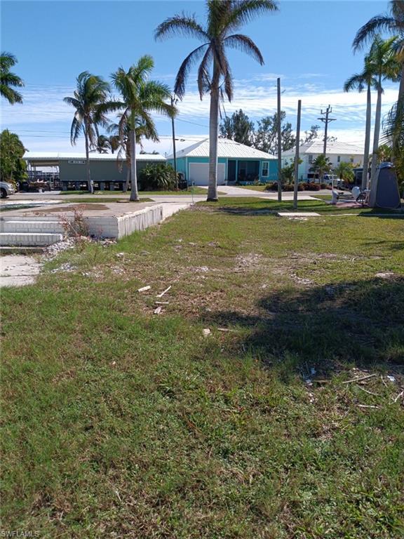 Image 4: View of yard