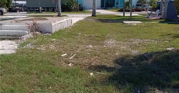 Image 4: View of yard