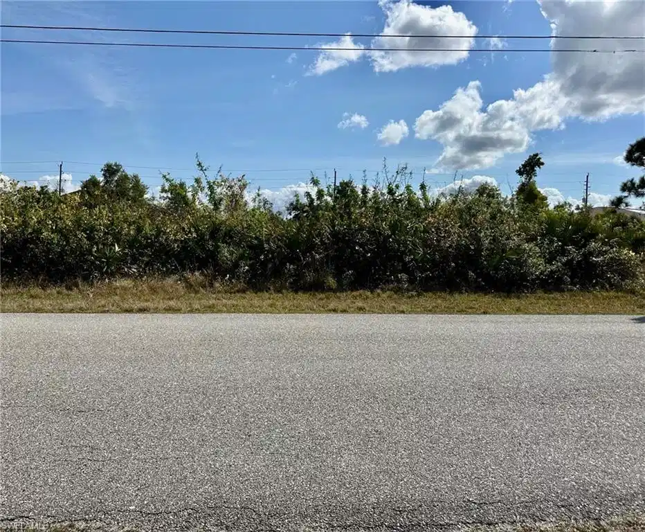 Image 1: View front of Lot
