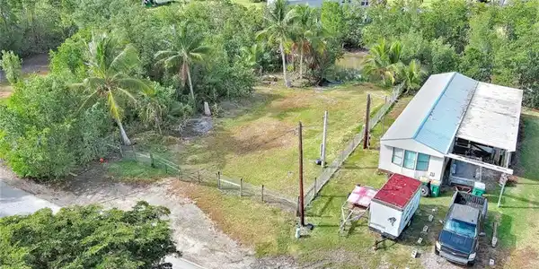 Image 4: Bird's eye view