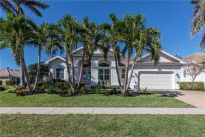 1010 Goldenrod