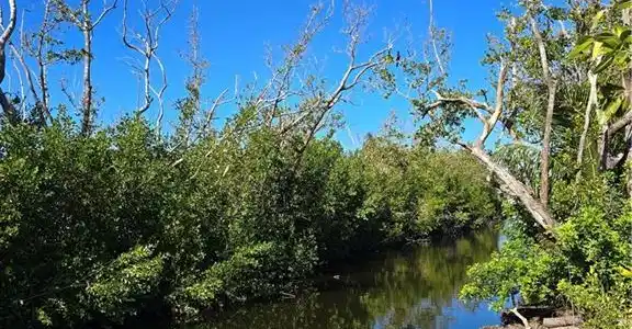 Image 2: Property view of water