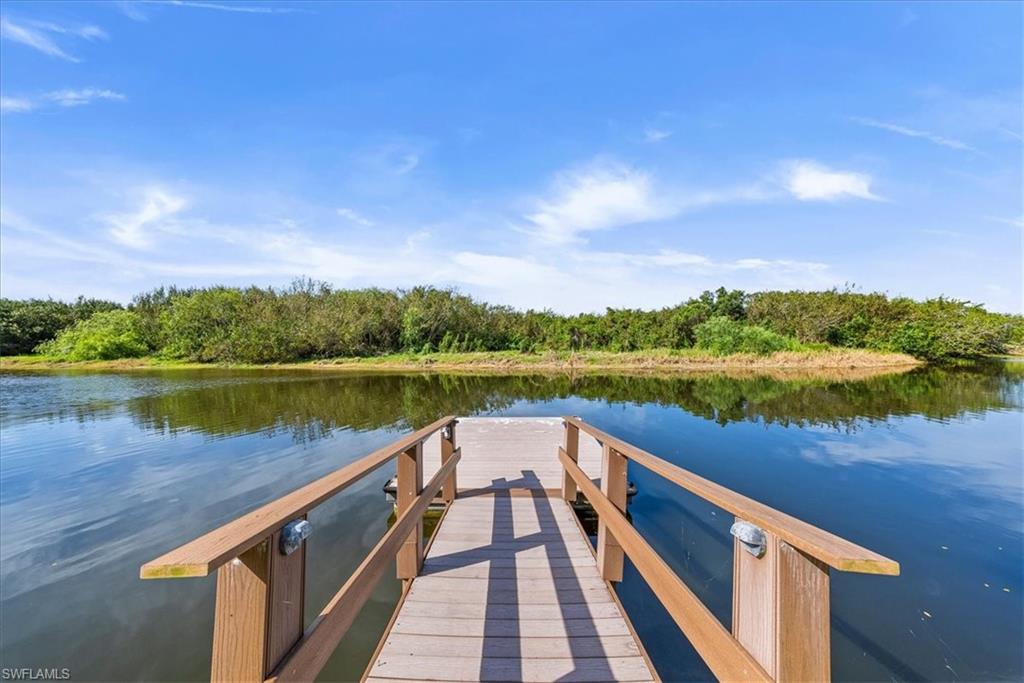 Image 3: Private Dock So You Can Boat to the Clubhouse