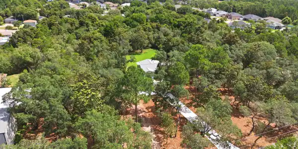 Image 2: Lot 12