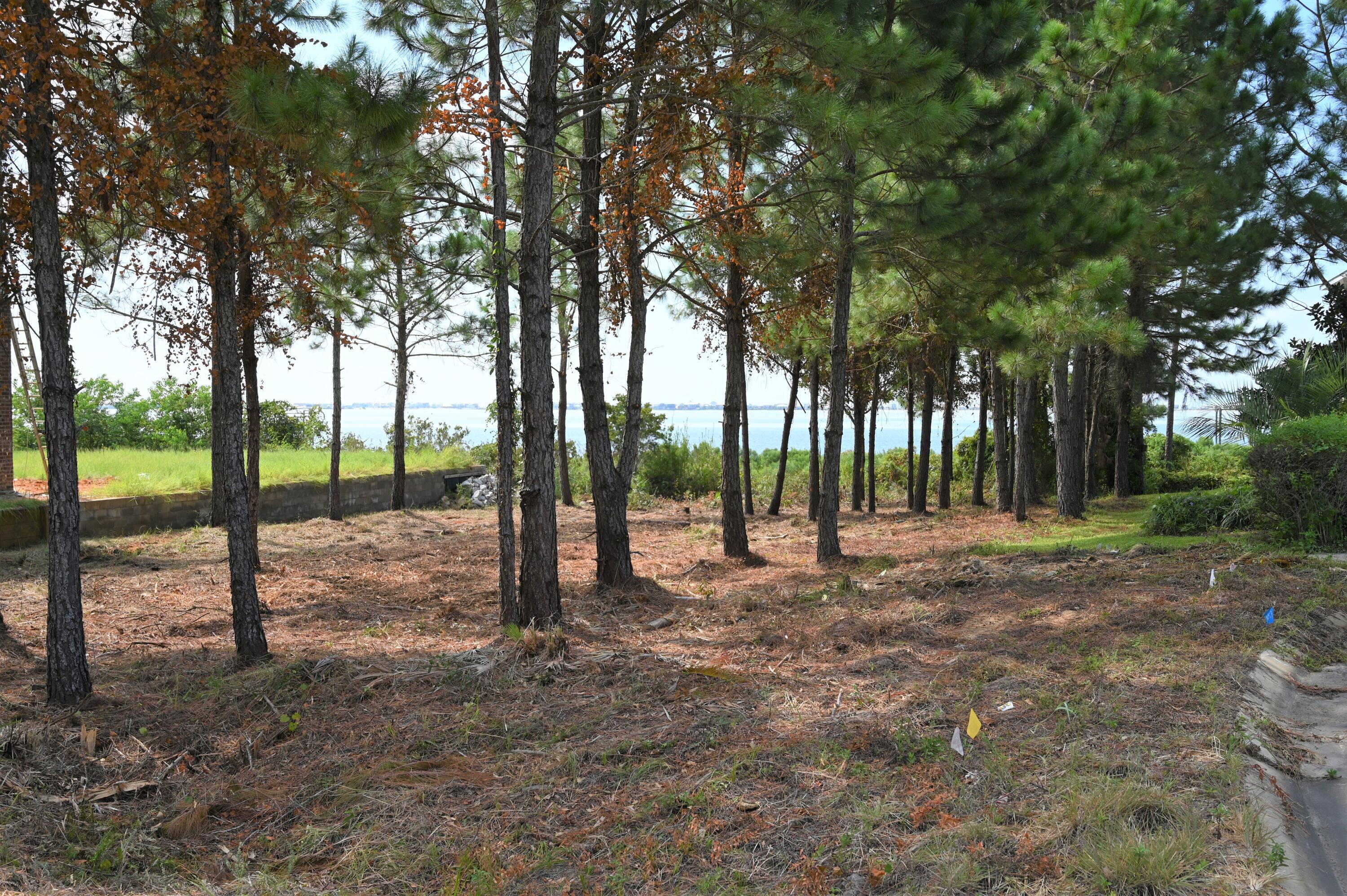 Image 3: DSC_0016