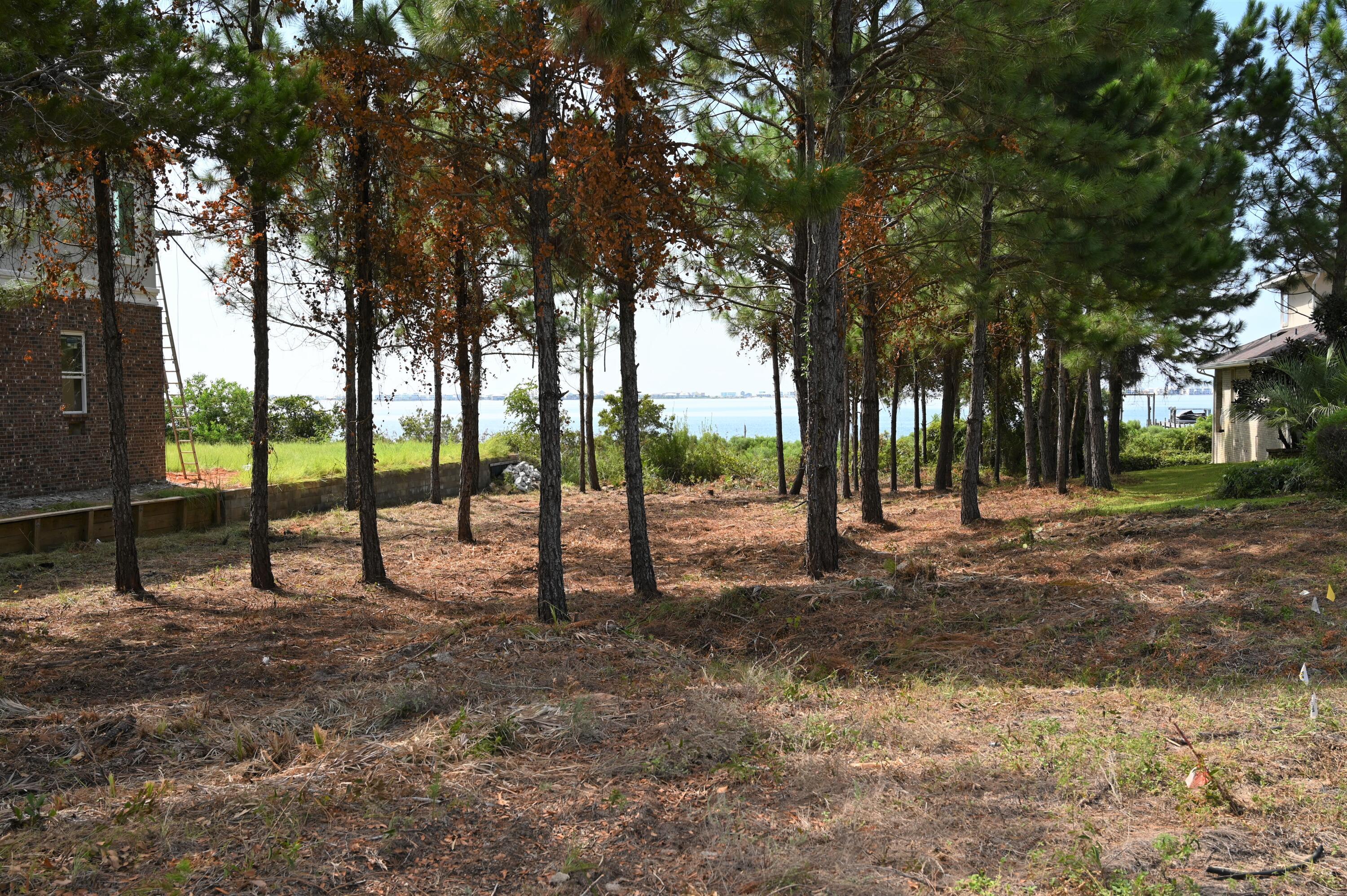 Image 4: DSC_0017