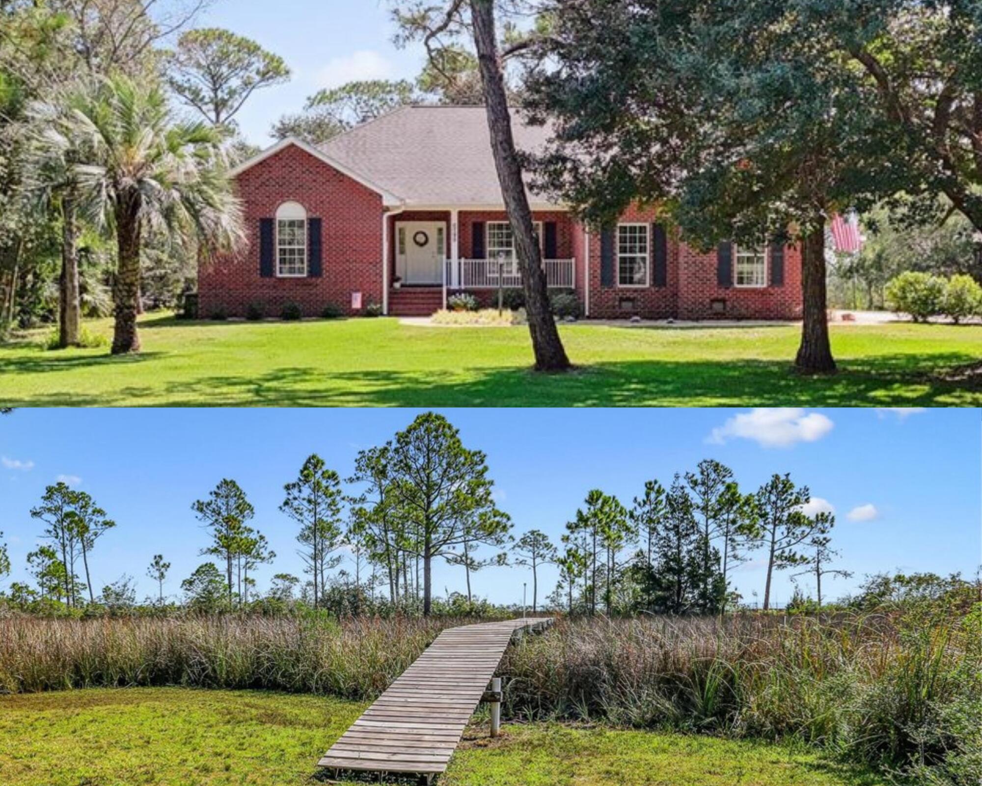 Image 1: Untitled design (10)