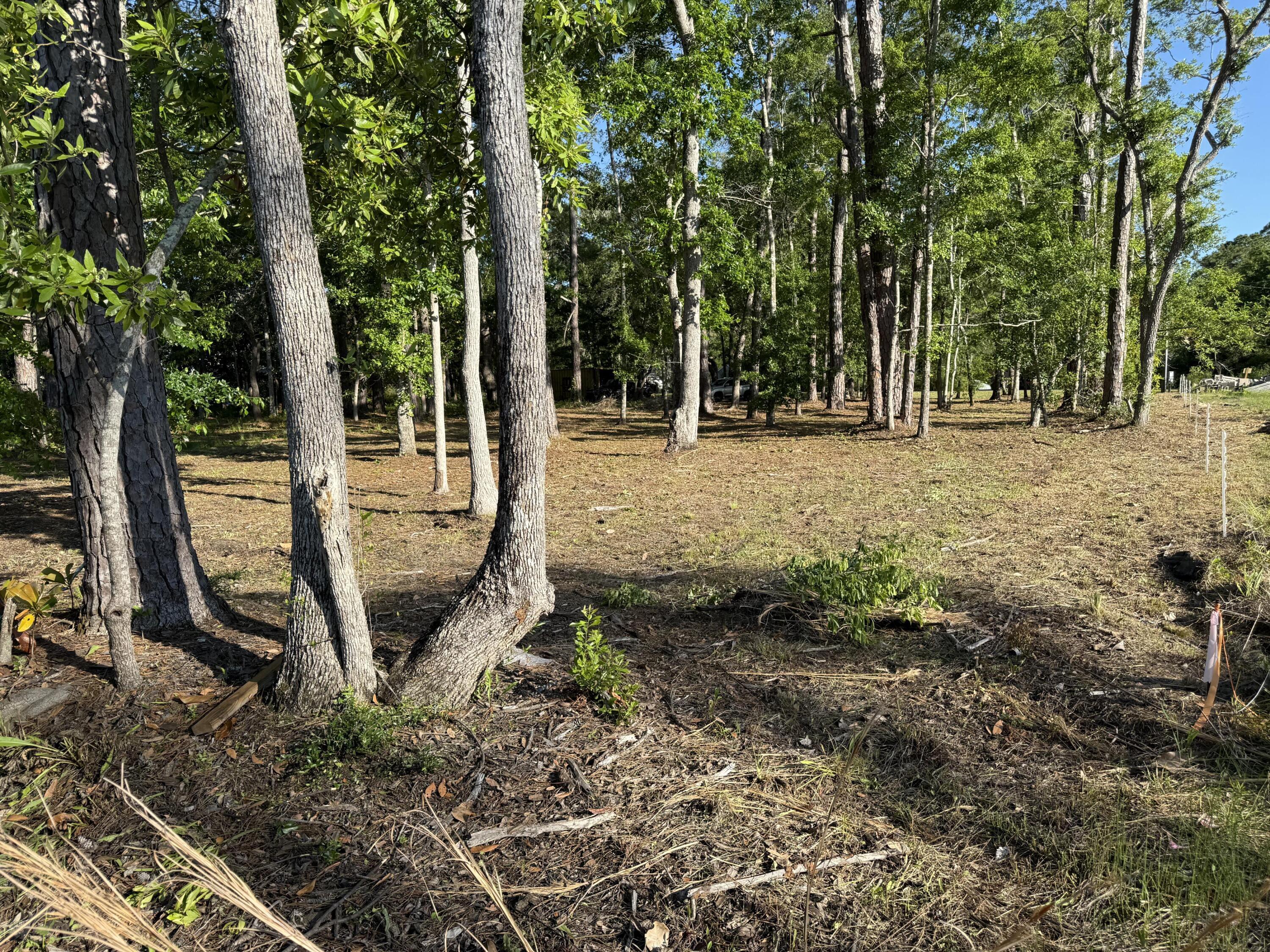 Image 4: 4