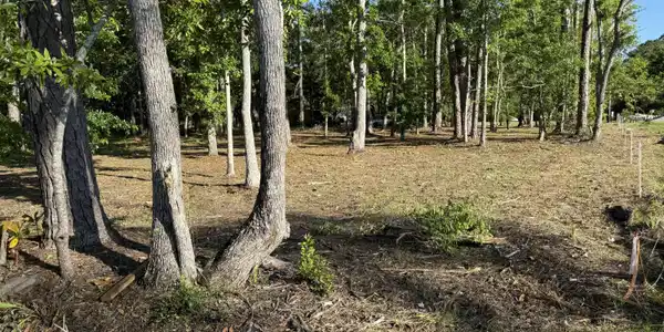 Image 4: 4