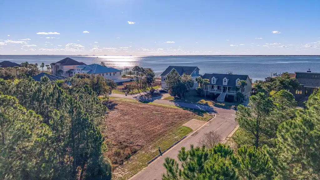 Image 1: DJI_20260116084610_0618_D_HDR