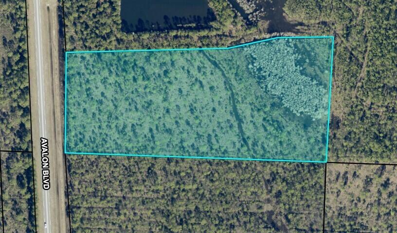 Image 1: 10.95 Avalon Blvd pic