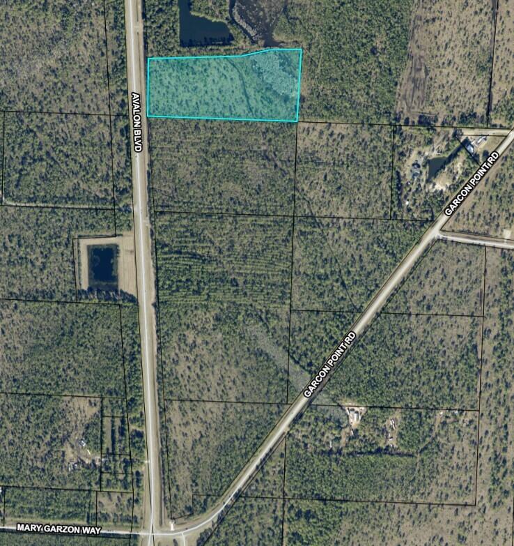 Image 2: 10.95 Avalon Blvd pic2