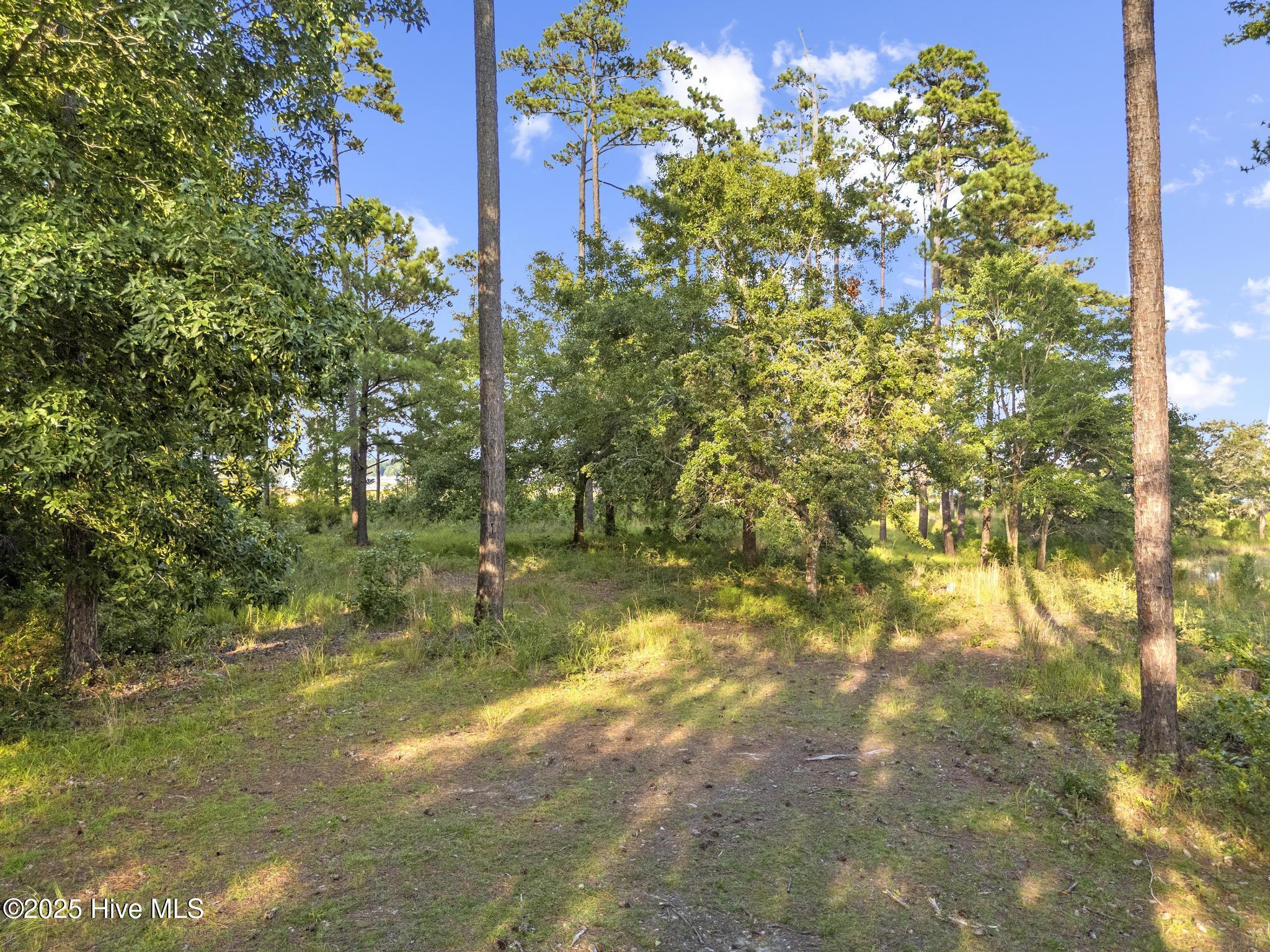 Image 3: photo 15