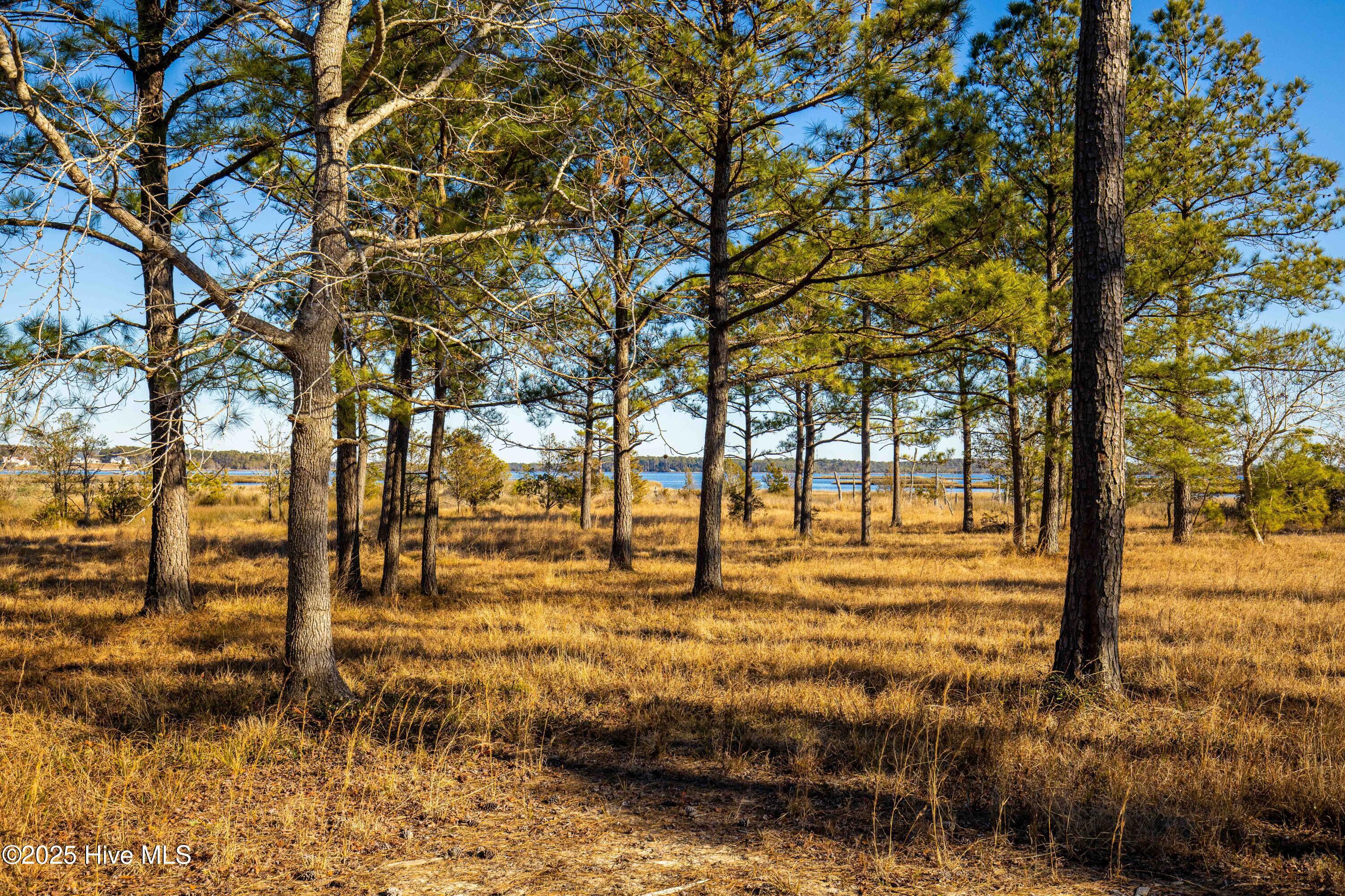 Image 4: Plantation Estates Lot-1