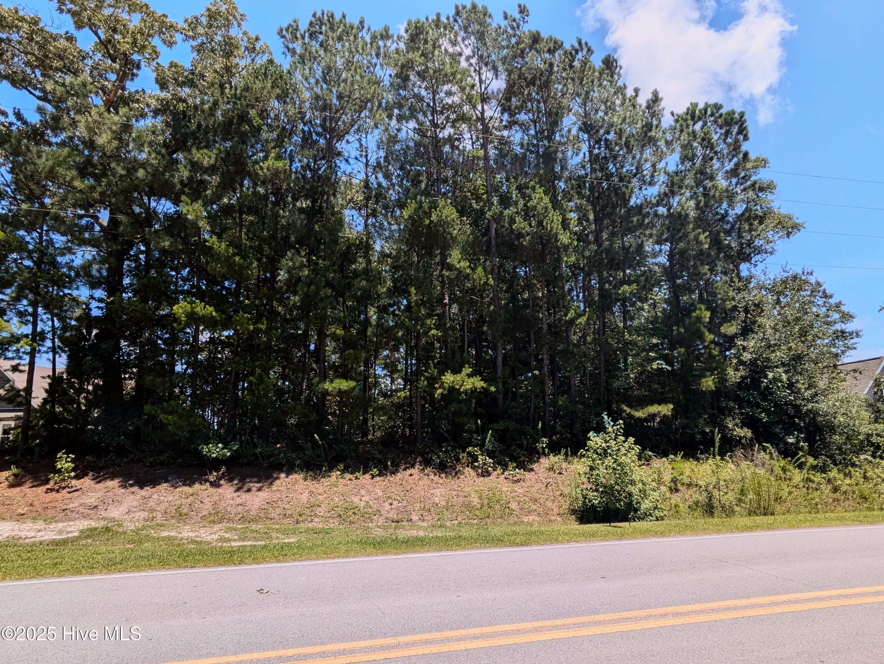 Image 3: PXL_20250708_172413505~2-EDIT