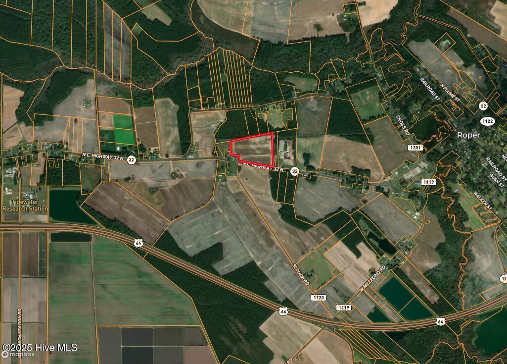Image 4: Screenshot 2025-03-18 at 2.35.57PM