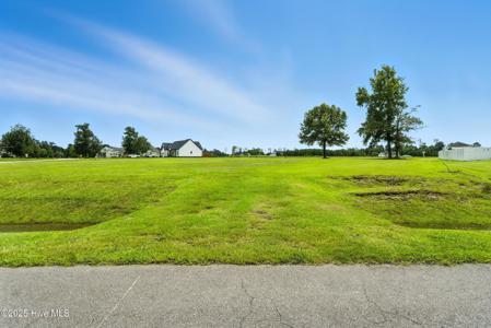 446 Pointe Vista Drive