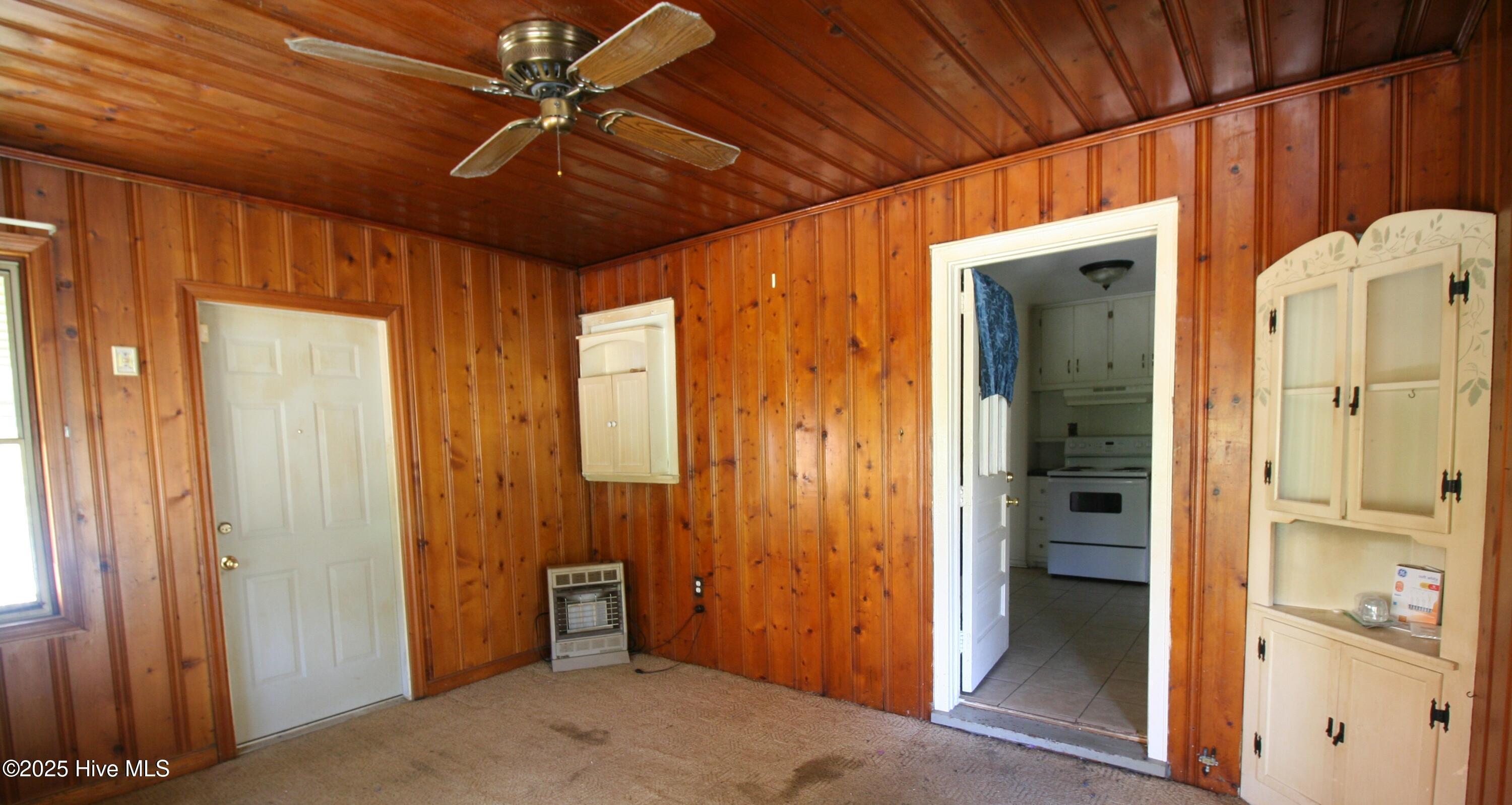 Image 4: Den Area