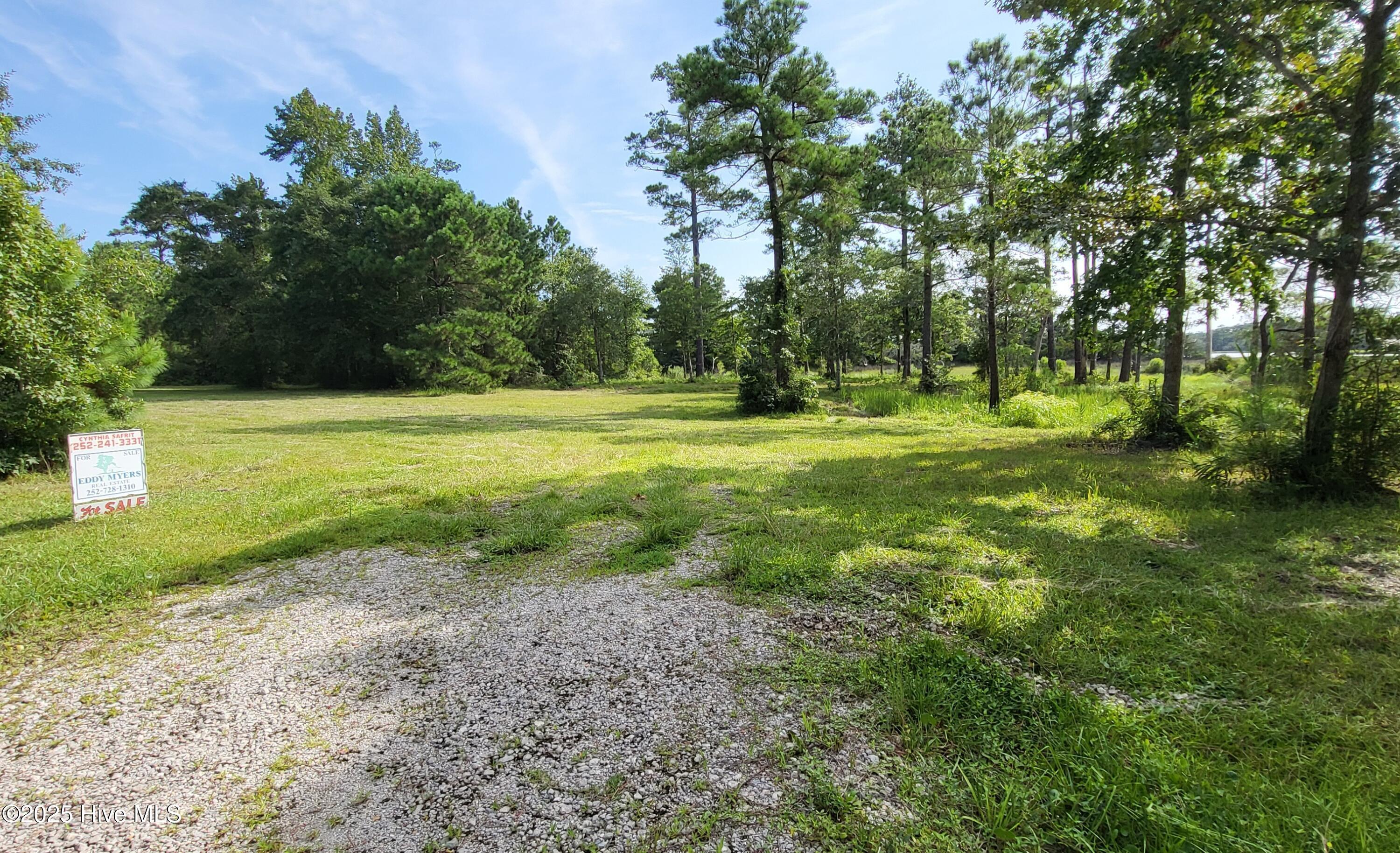 Image 1: large beautiful lot