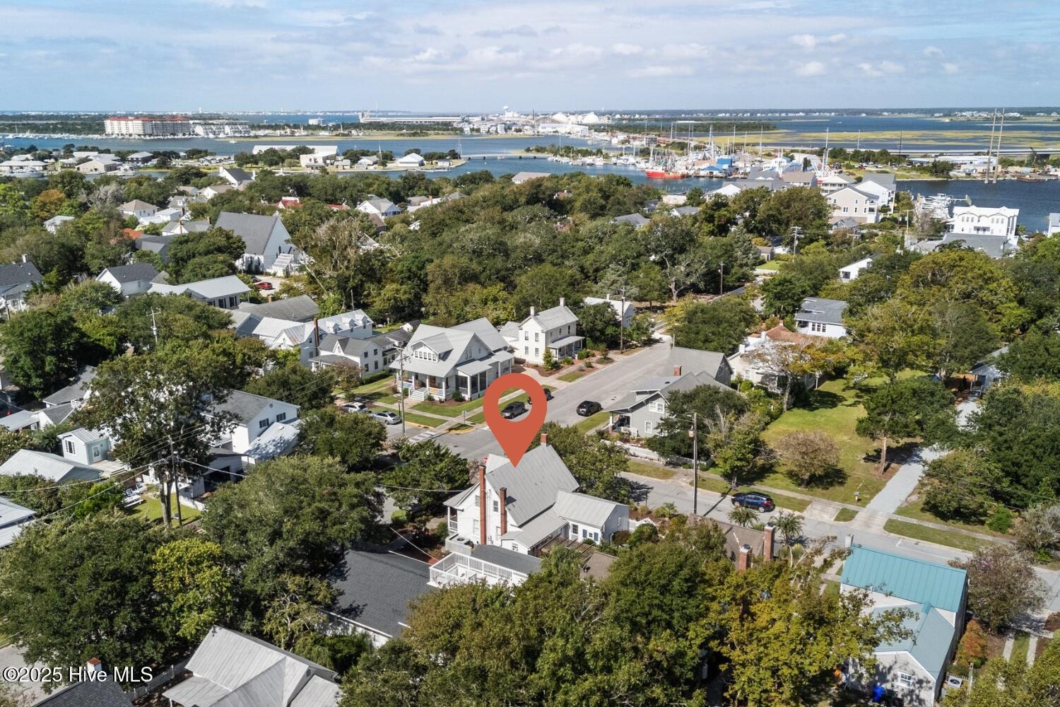 Image 2: Incredible Beaufort location