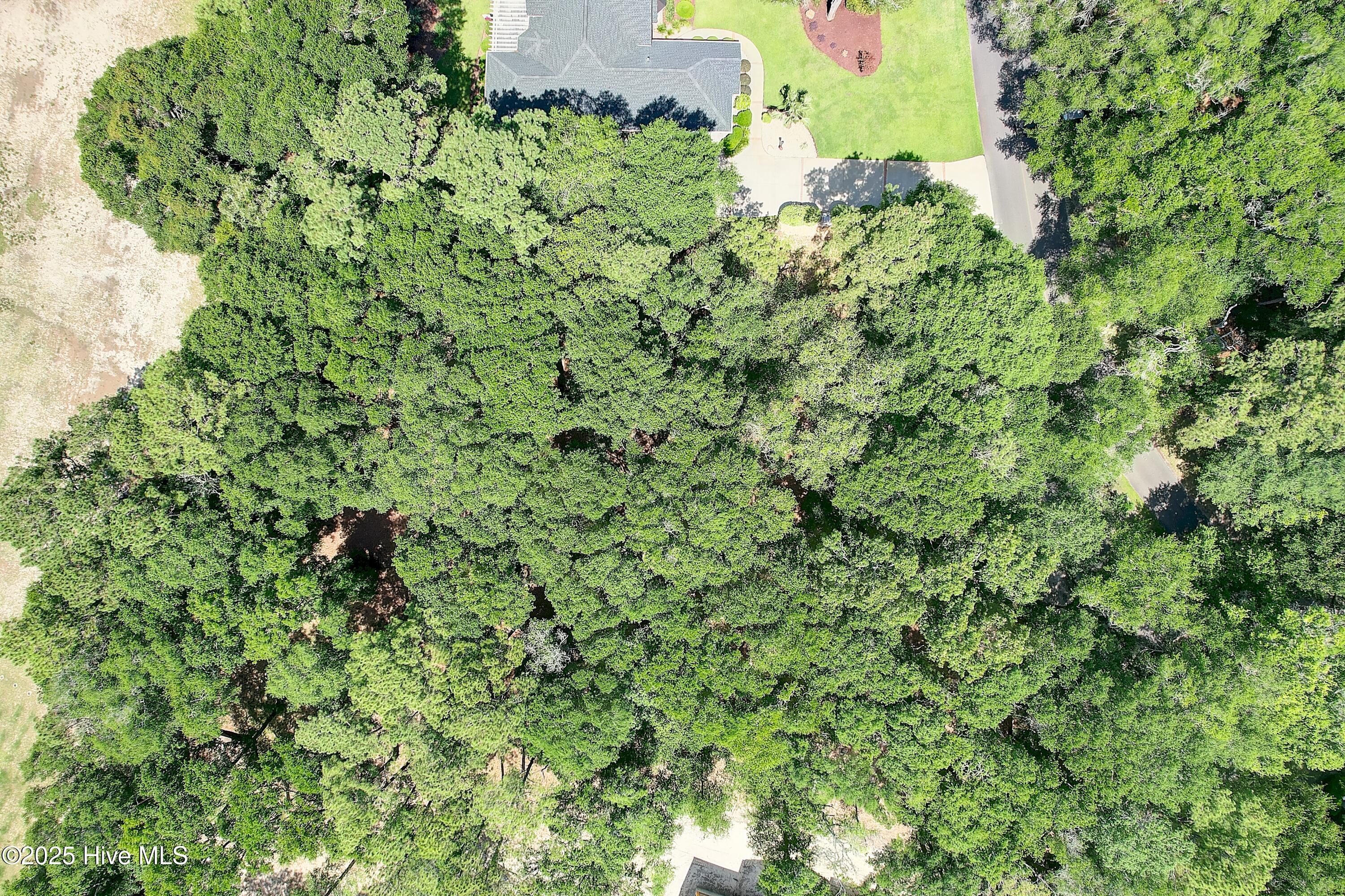 Image 4: 105ClubhouseDrSW - 4