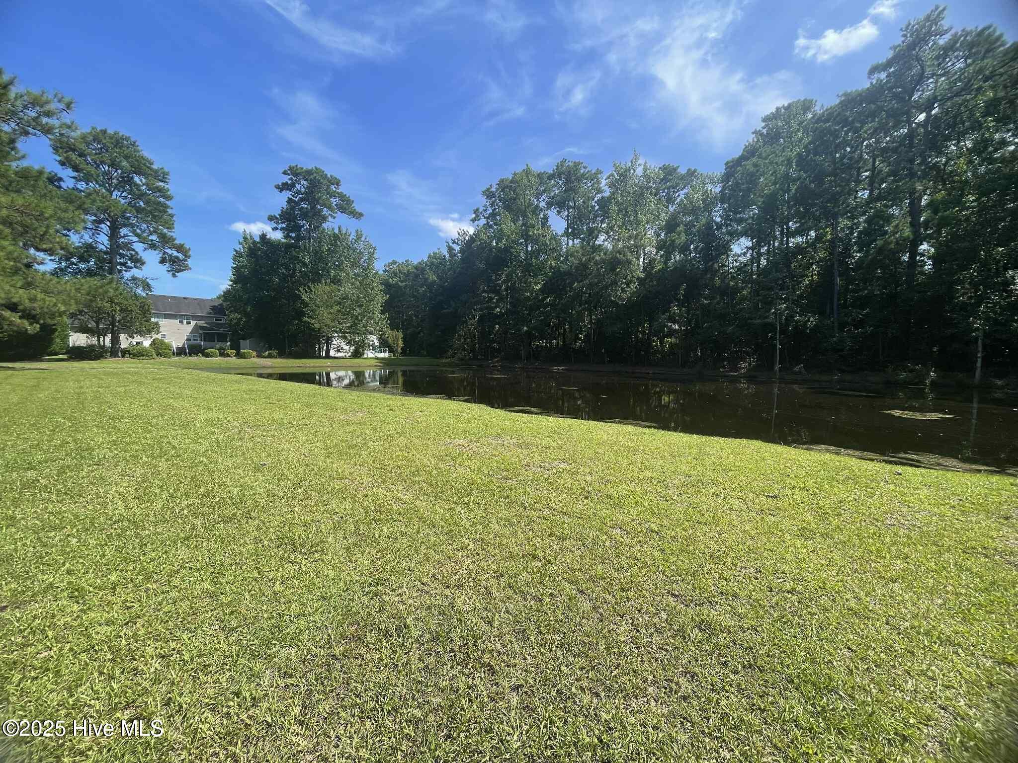 Image 3: 14a2bed7-07e3-4f85-ae5b-29c5c088027c