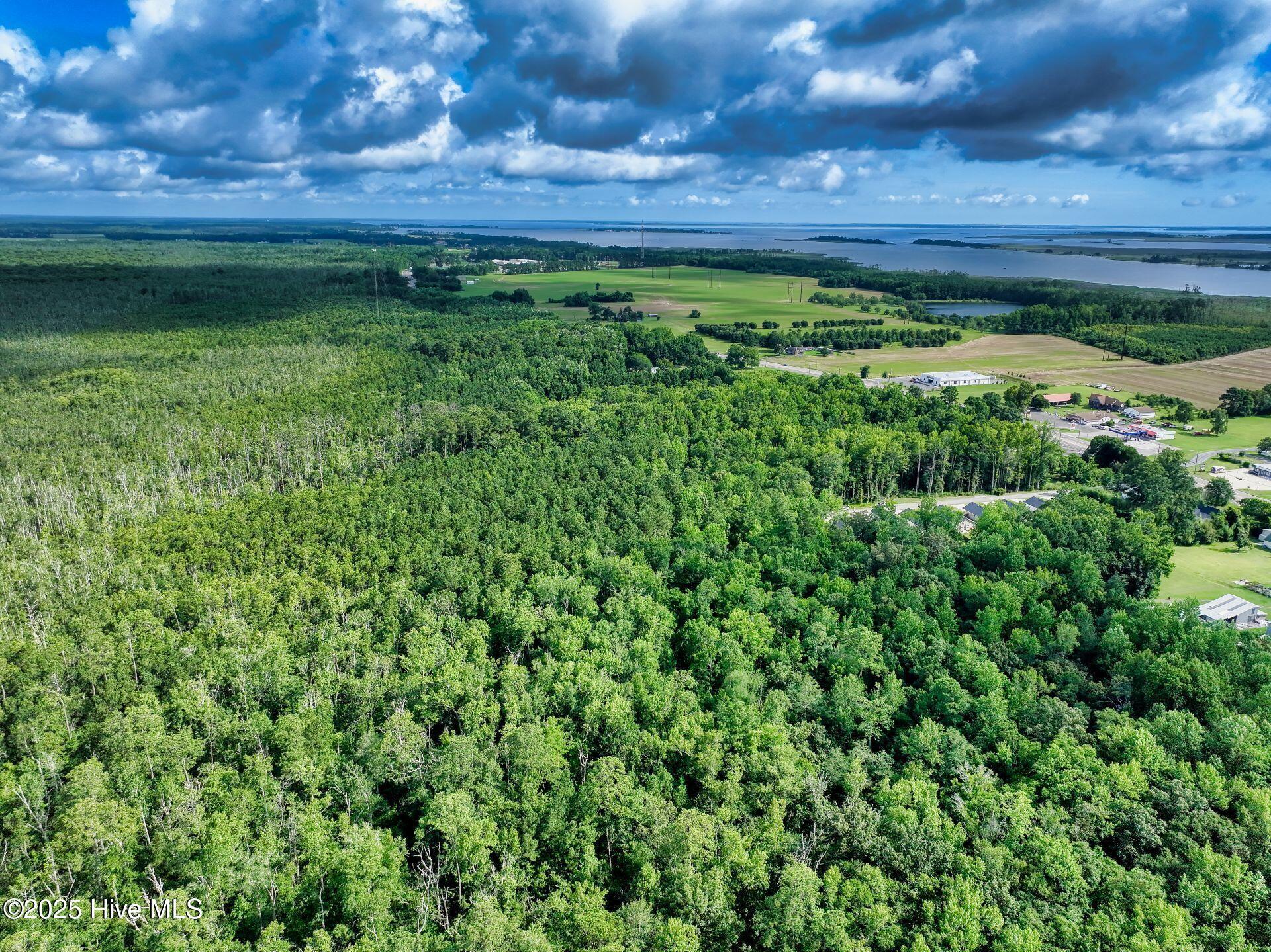 Image 3: DJI_20250710092453_0737_D_3