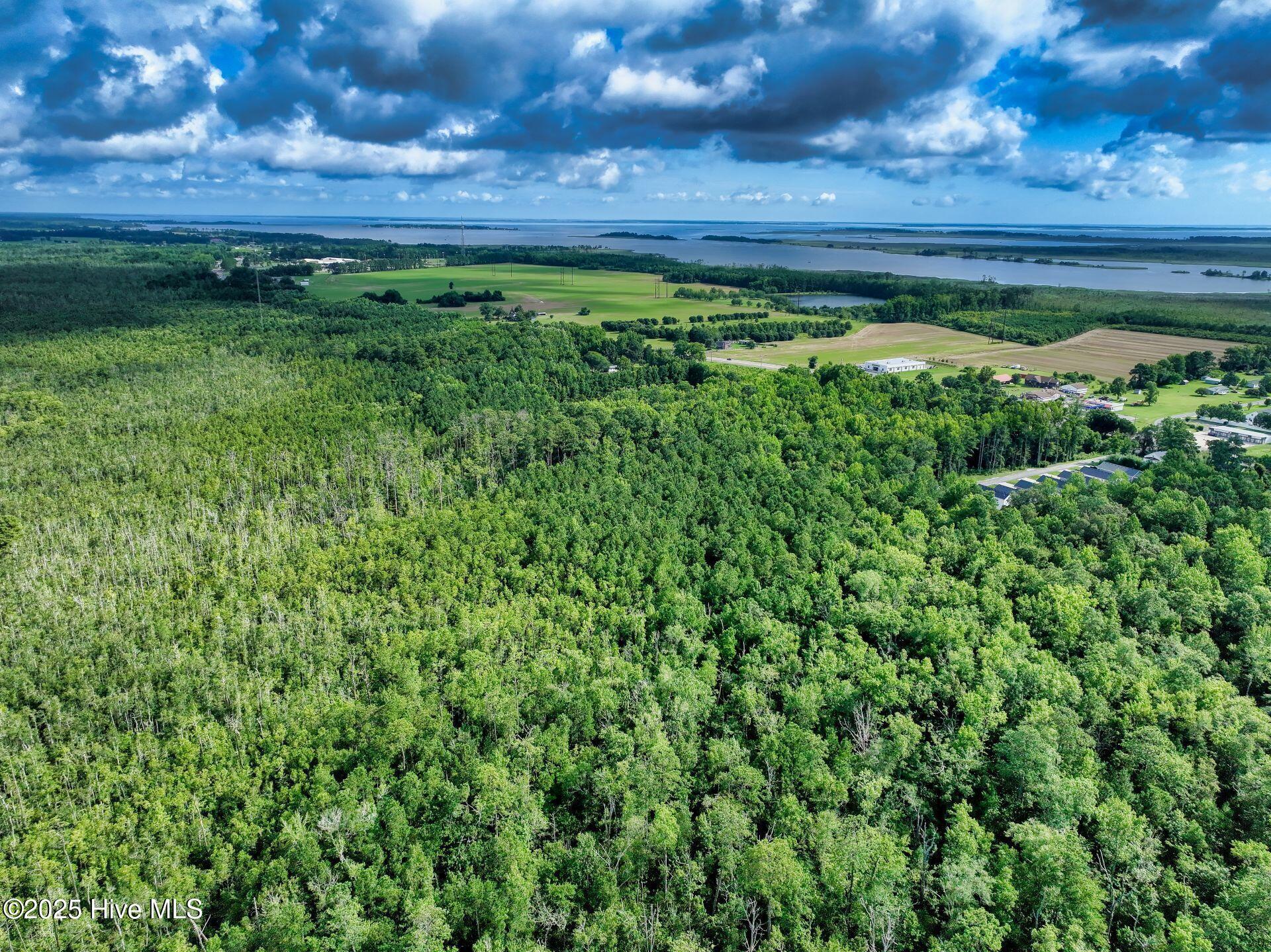 Image 4: DJI_20250710092508_0742_D_4