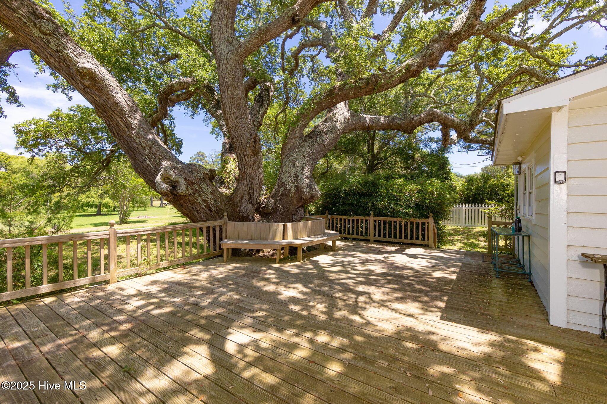 Image 3: Back Deck