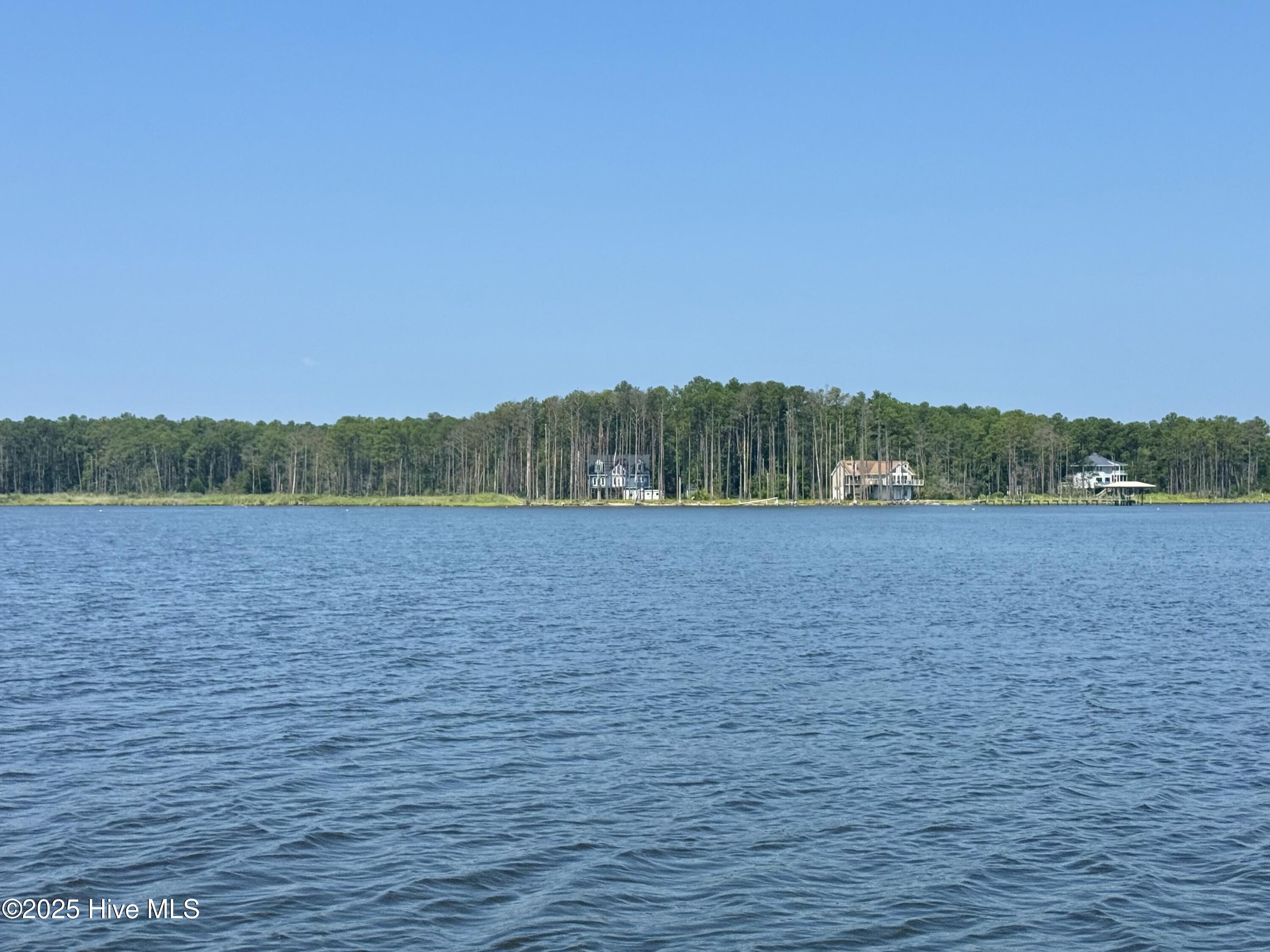 Image 3: IMG_0999
