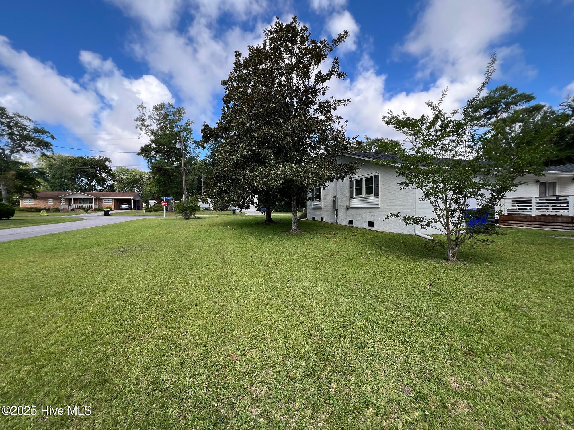 Image 3: 4 Side yard