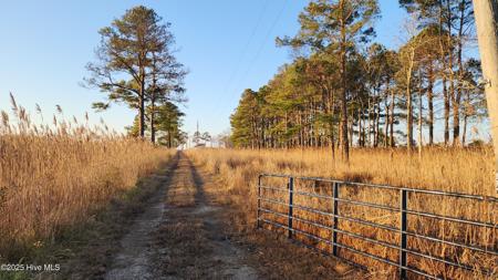 116 Mistletoe Lane