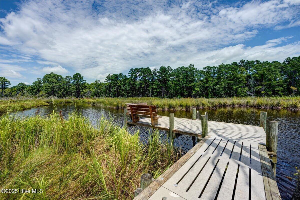Image 3: Walkway to Dock