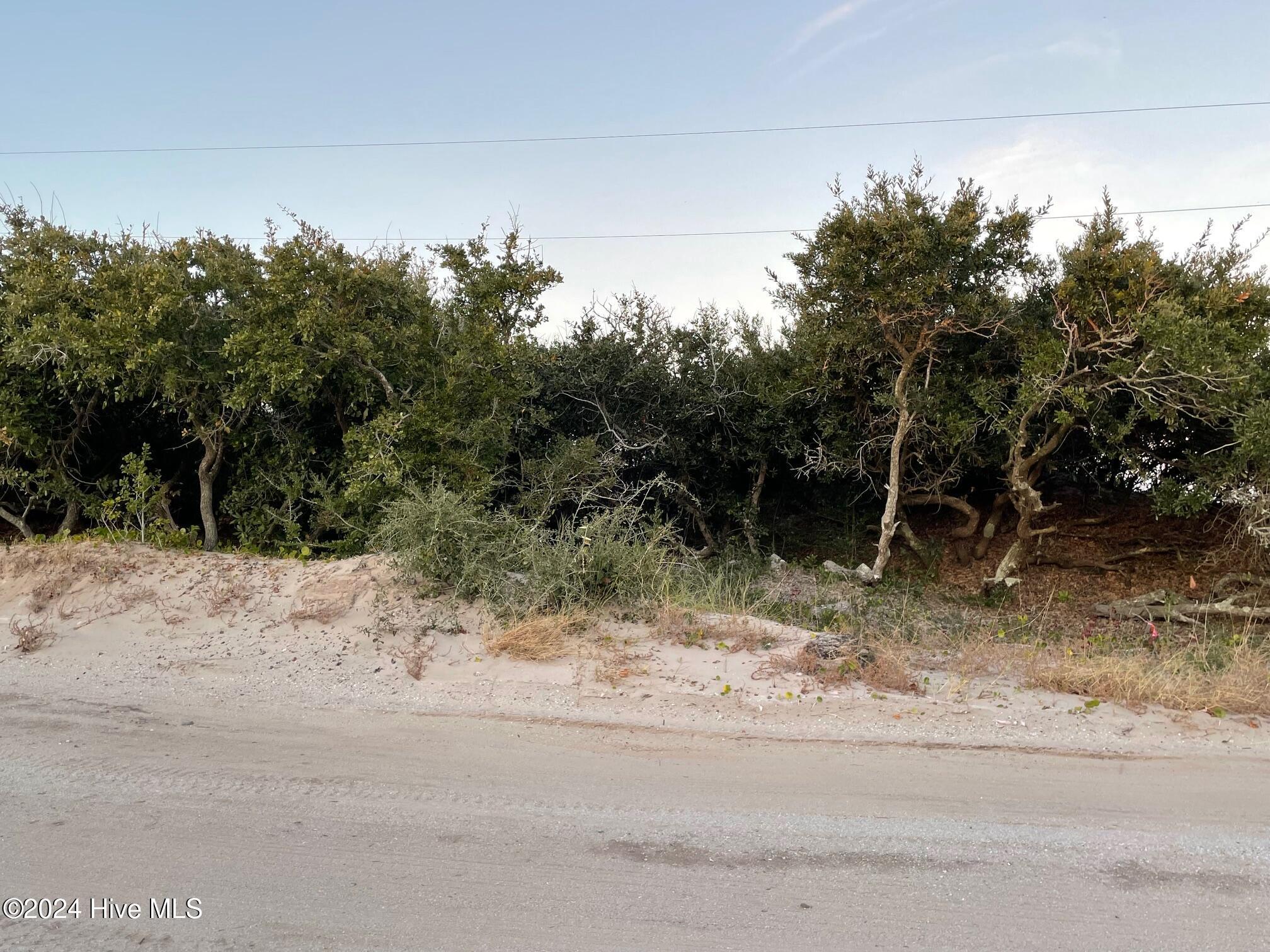 Image 3: Roadside