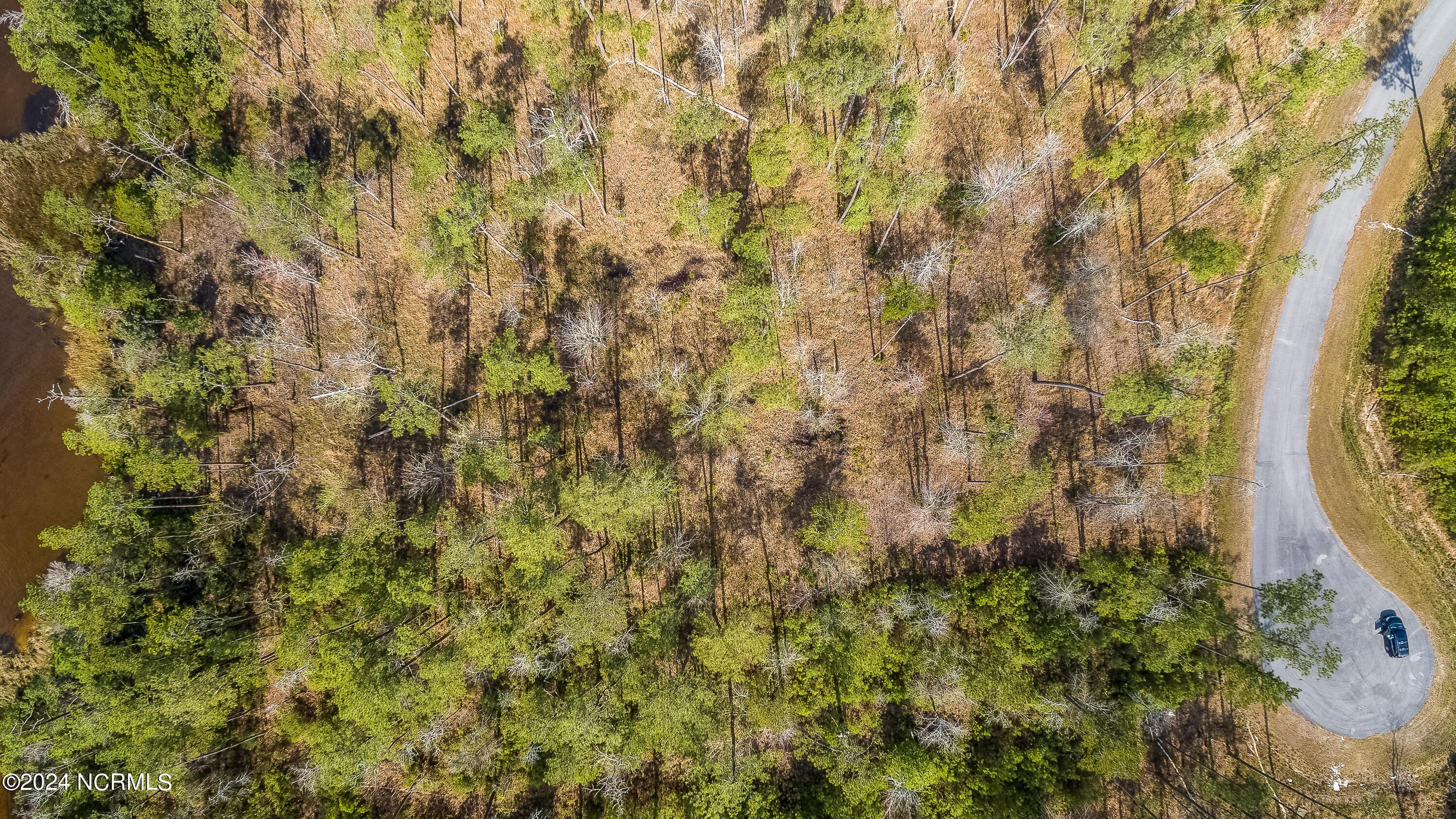 Image 3: DJI_0478