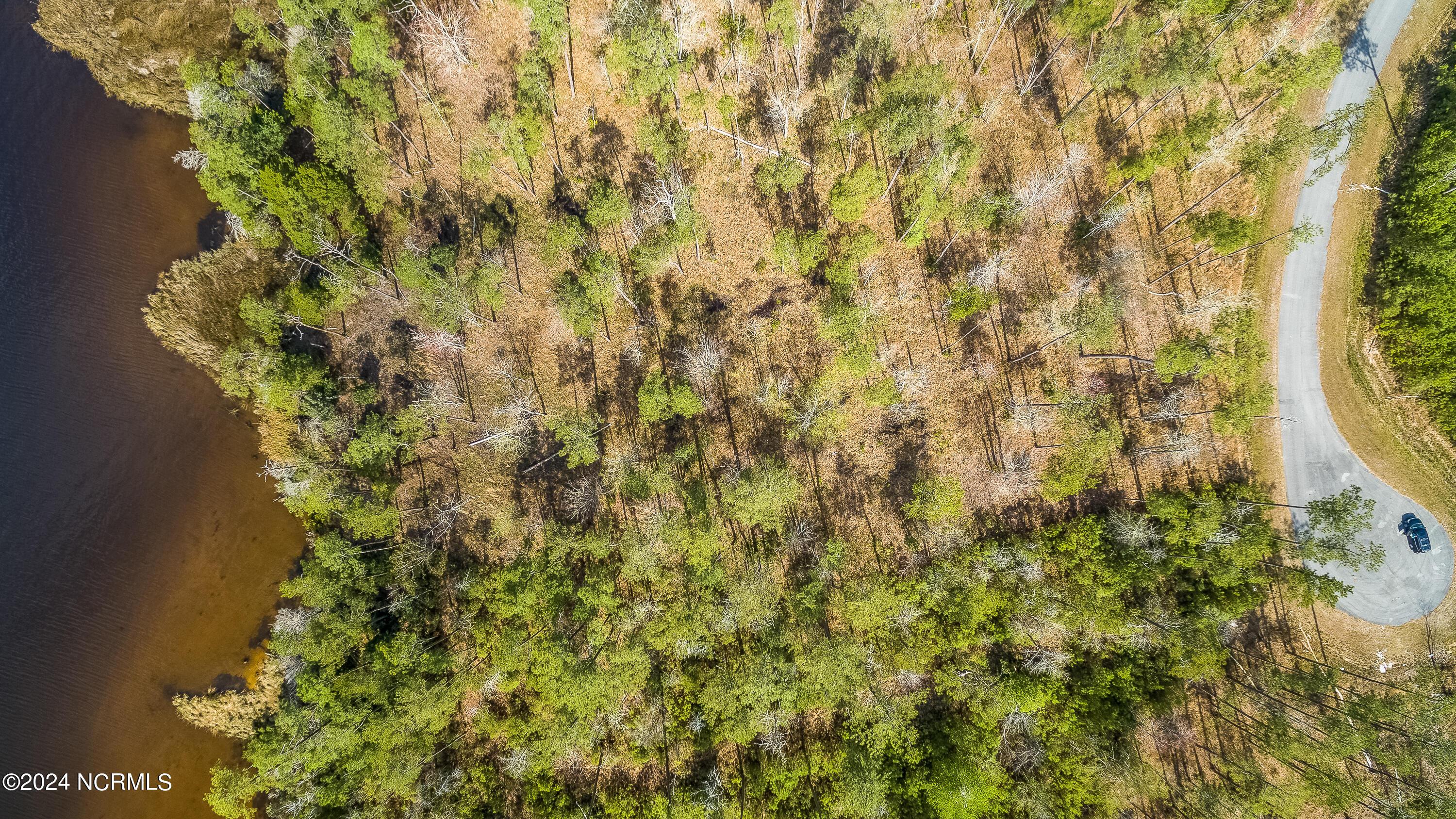 Image 4: DJI_0479