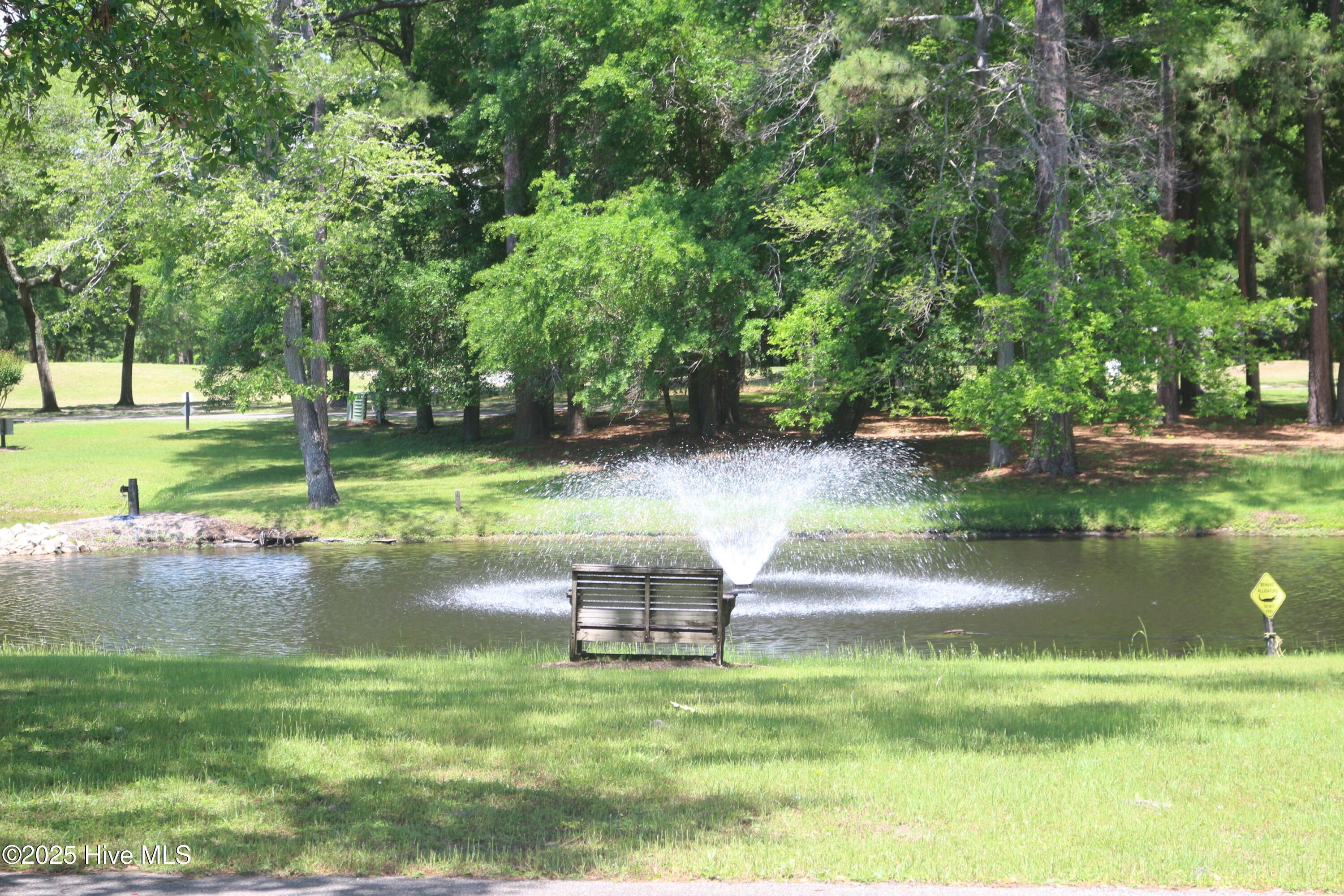 Image 4: Across Street