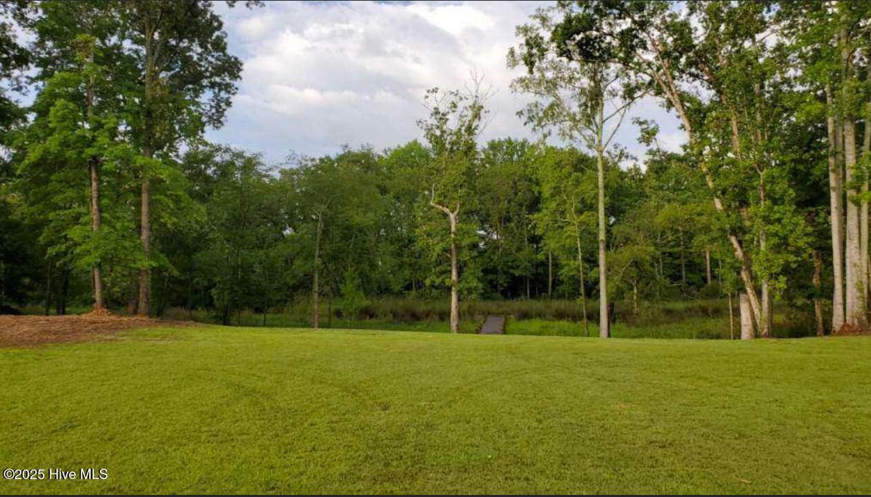 Image 4: 04