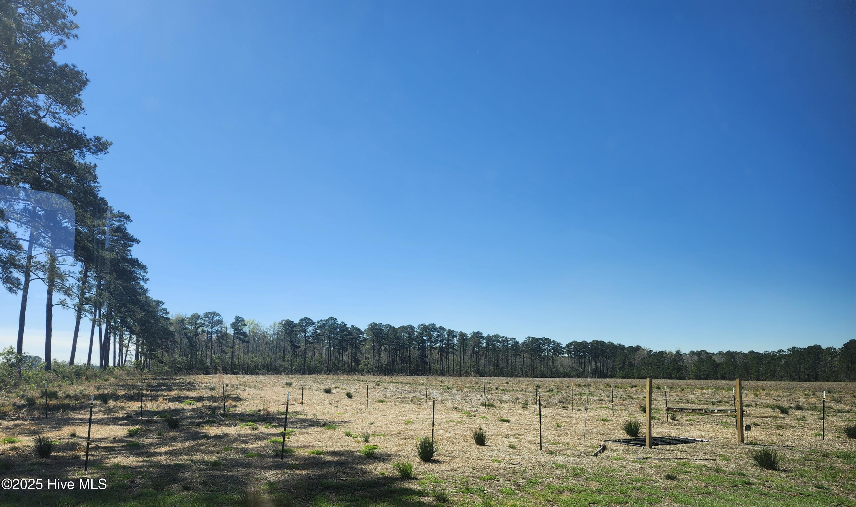 Image 3: small pen started/electric fencing