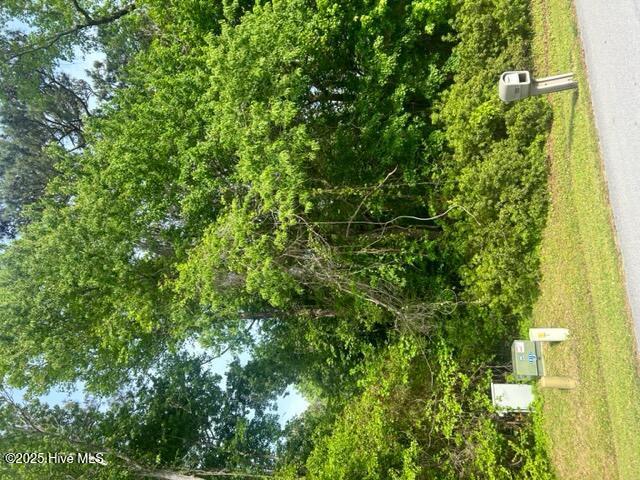 Image 1: front of lot